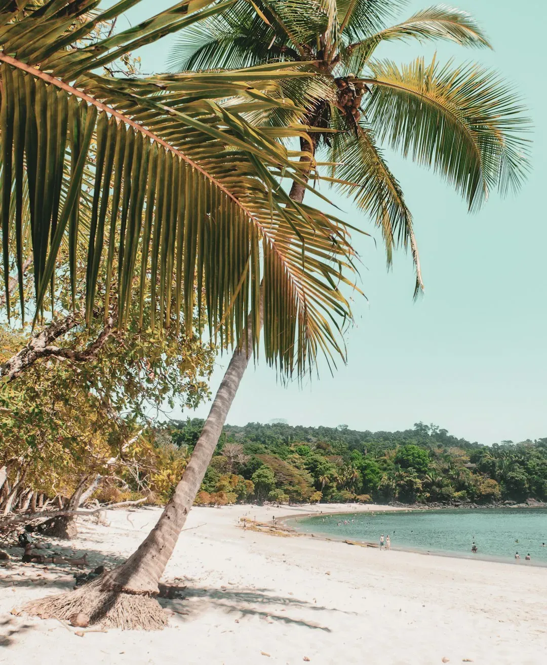 Regional Rivals Are Eating Costa Rica's Lunch (Image Credits: Unsplash)
