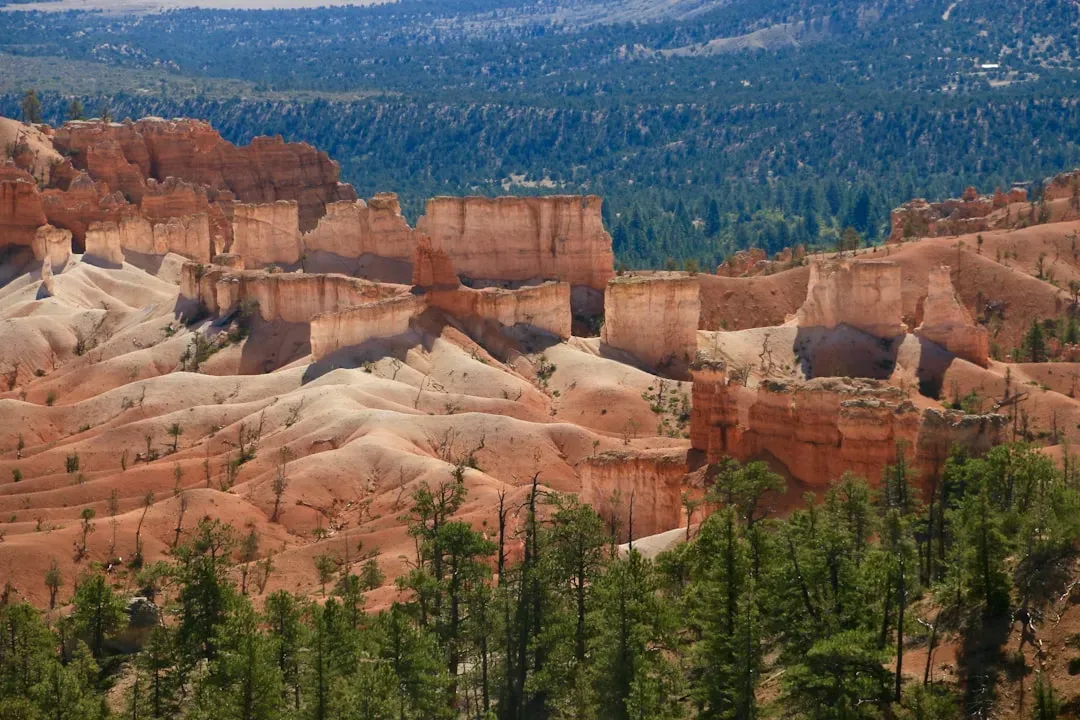 3. The American National Parks System (Image Credits: Unsplash)