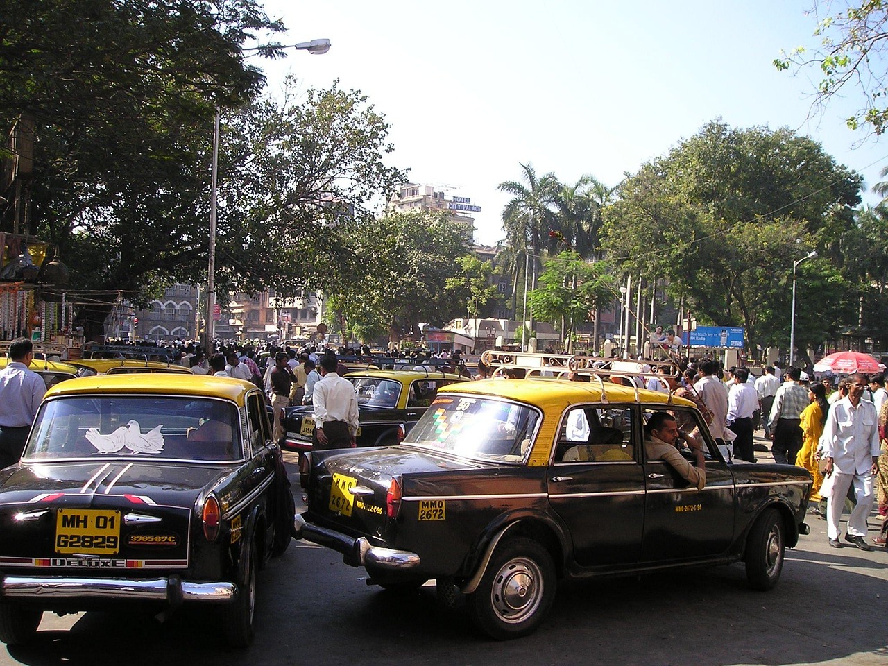 India: Sensory Overload and System Complexity (Image Credits: Pixabay)