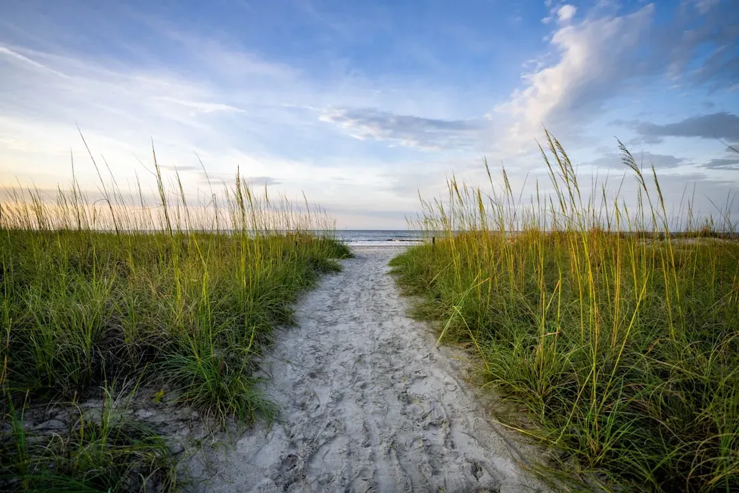 3. South Carolina - Coastal Charm Without the Florida Price Tag (Image Credits: Unsplash)