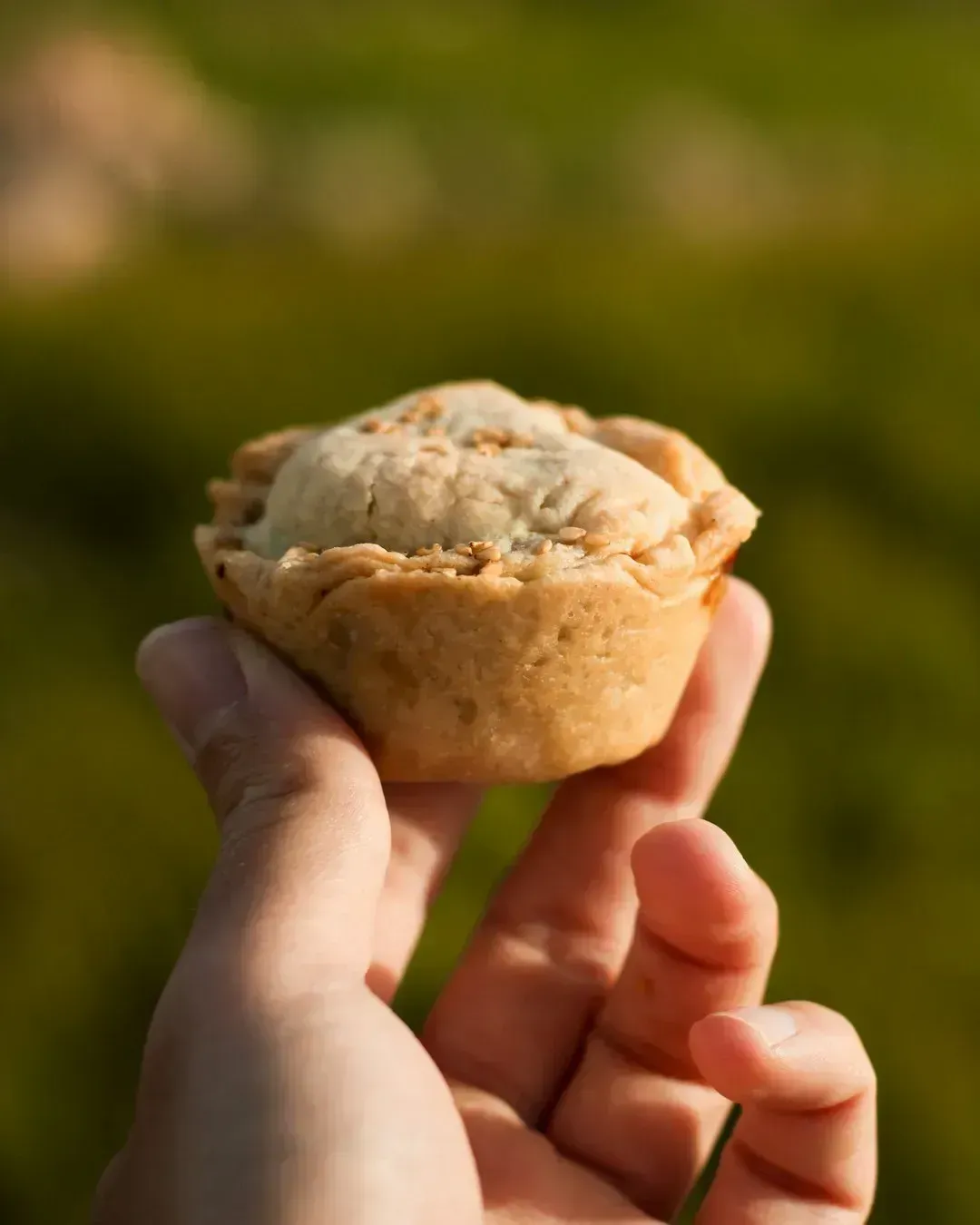 Robin Pie (Image Credits: Unsplash)