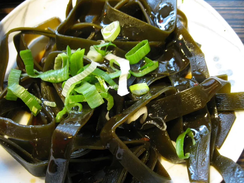 Kombu: The Quiet Force Behind Deep Broths (atlai, Flickr, CC BY 2.0)