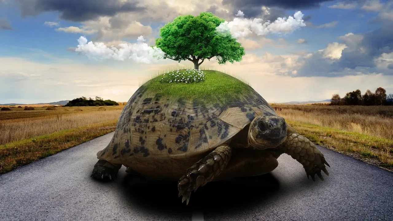 Slow Travel: Depth Over Distance (Image Credits: Pixabay)