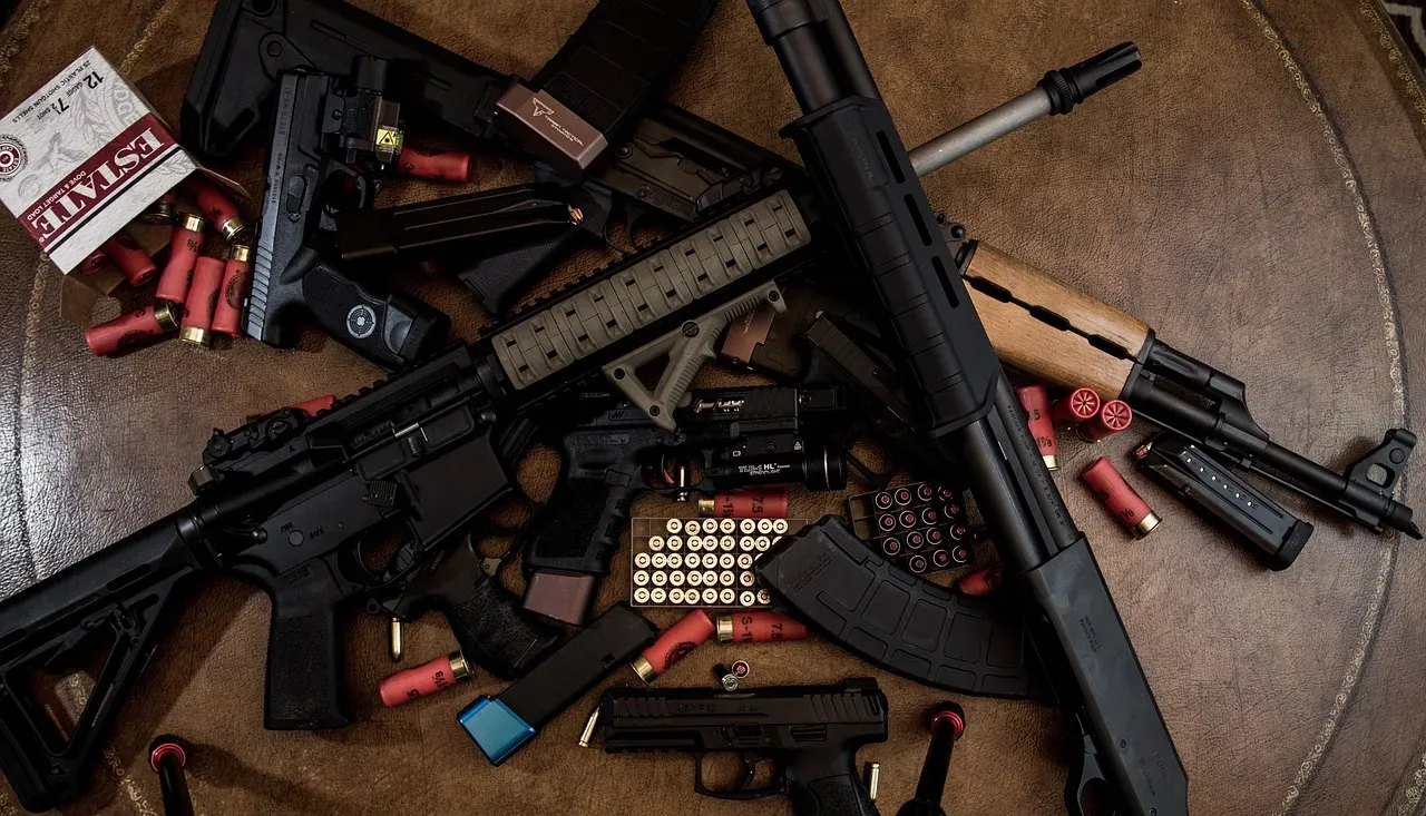 Ammunition and Firearms (Image Credits: Pixabay)