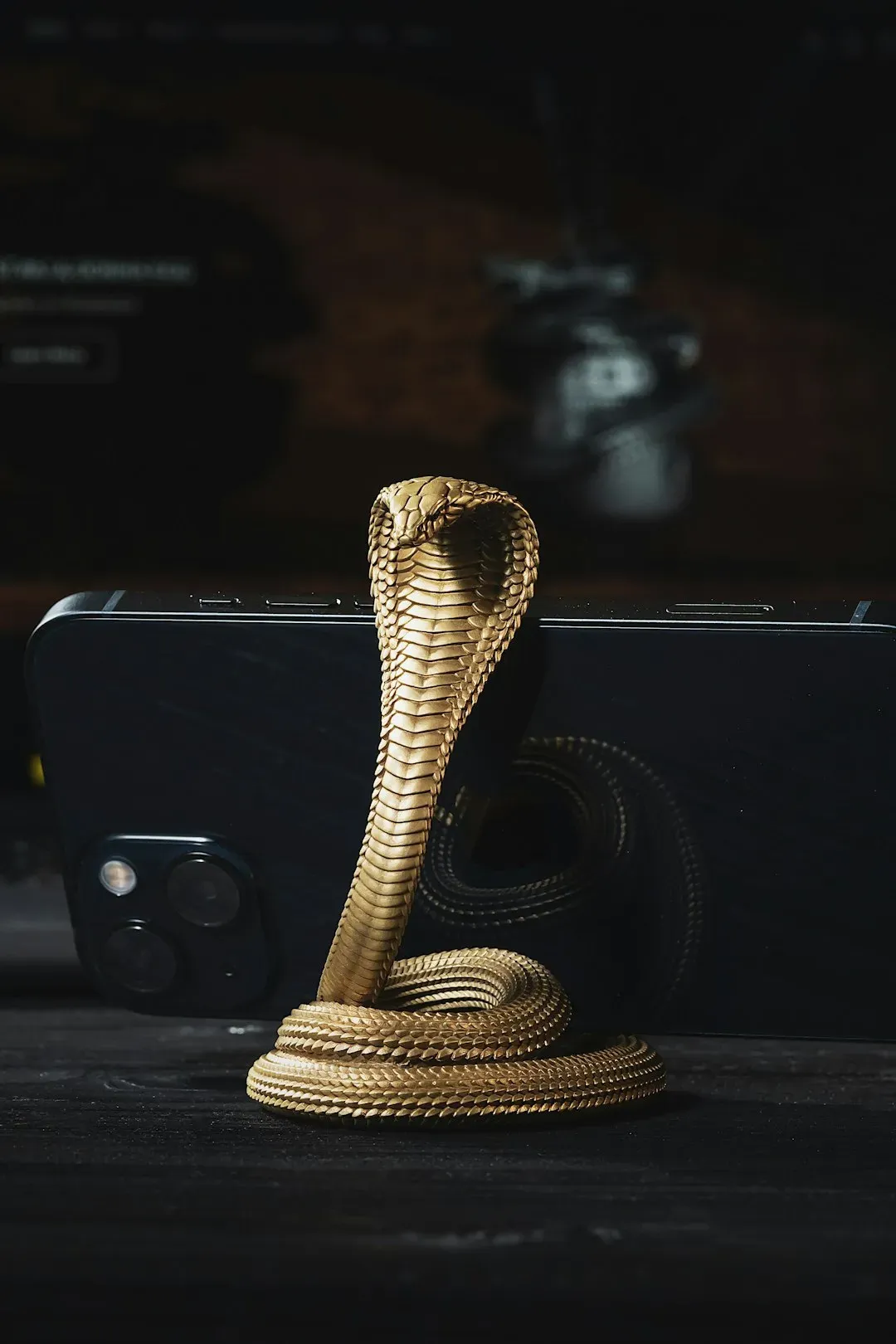 Its Venom Can Take Down an Elephant (Image Credits: Unsplash)