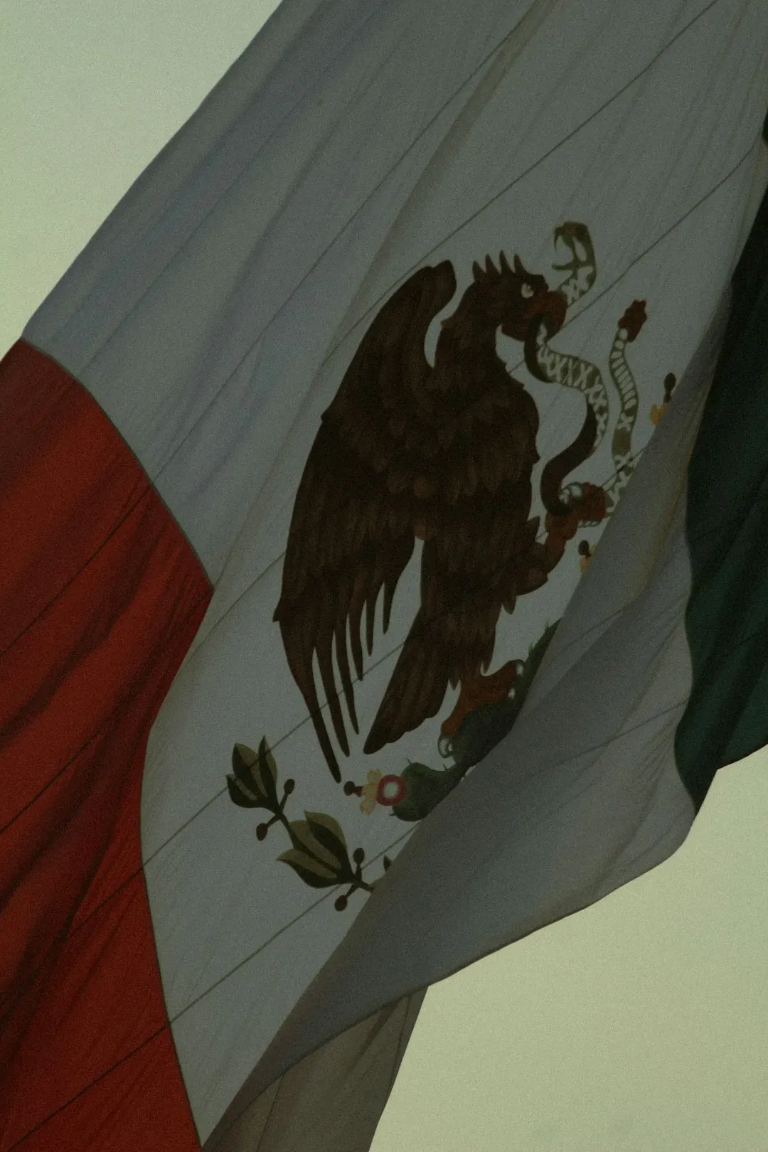 Mexico Responds With Military Deployments (Image Credits: Unsplash)