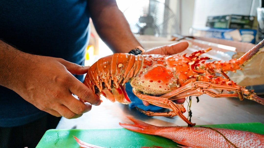 Red Lobster's Original Glory Days (Image Credits: Unsplash)