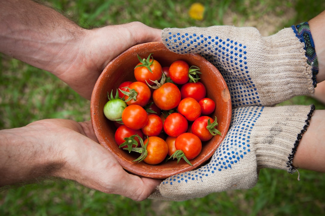 Geopolitical Tensions Reshape Food Flows (Image Credits: Unsplash)
