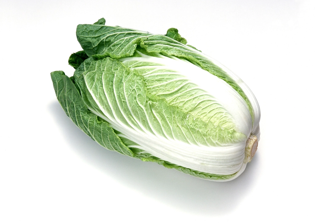 Chinese Cabbage - The Asian Vegetable Superstar (image credits: rawpixel)