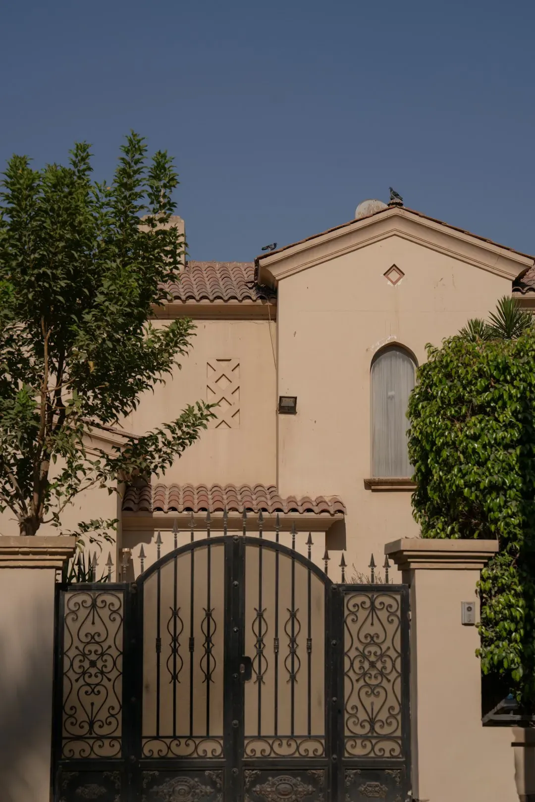 Overly Expensive Visible Security Systems That Scream Wealth (Image Credits: Unsplash)