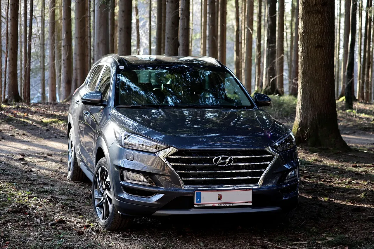 Hyundai Tucson (Image Credits: Pixabay)