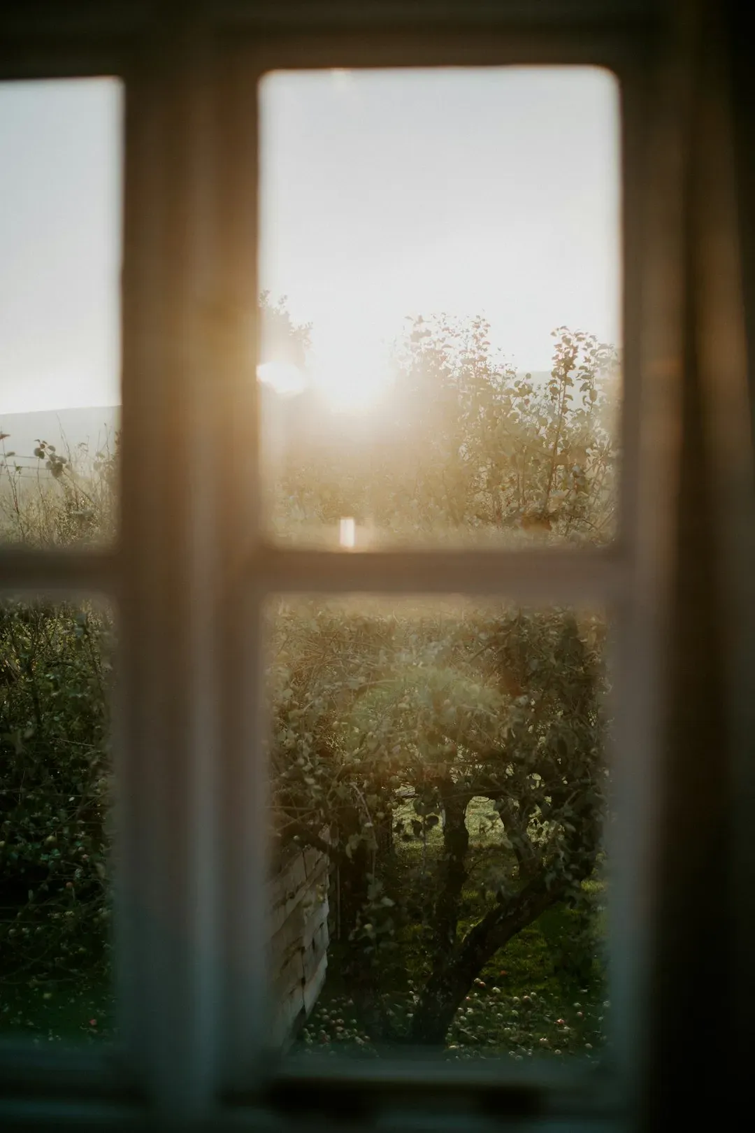 2. Get Natural Light Within the First Hour of Waking (Image Credits: Unsplash)