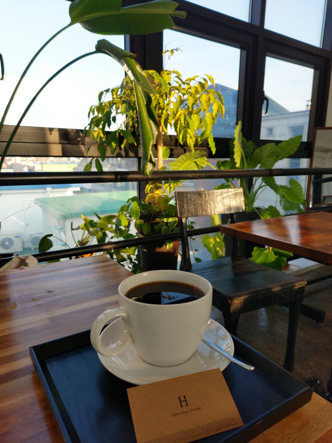 Single-Origin Coffee Market Growth: Consumer Demand for Terroir (image credits: unsplash)
