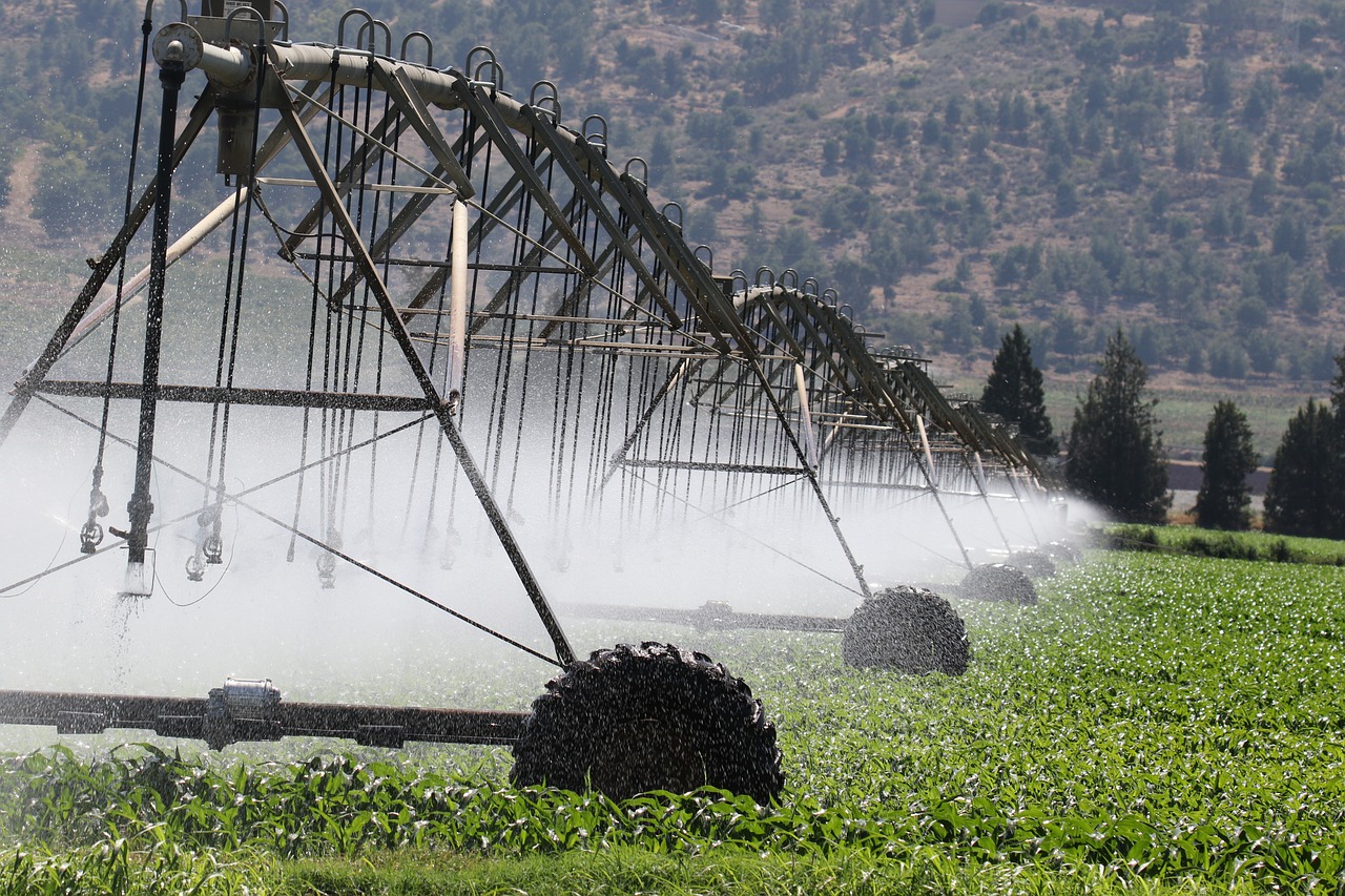Climate Change Amplifies Global Food Vulnerability (Image Credits: Pixabay)