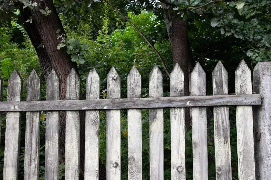 The Shared Boundary Fence Nobody Wants to Maintain (Image Credits: Unsplash)