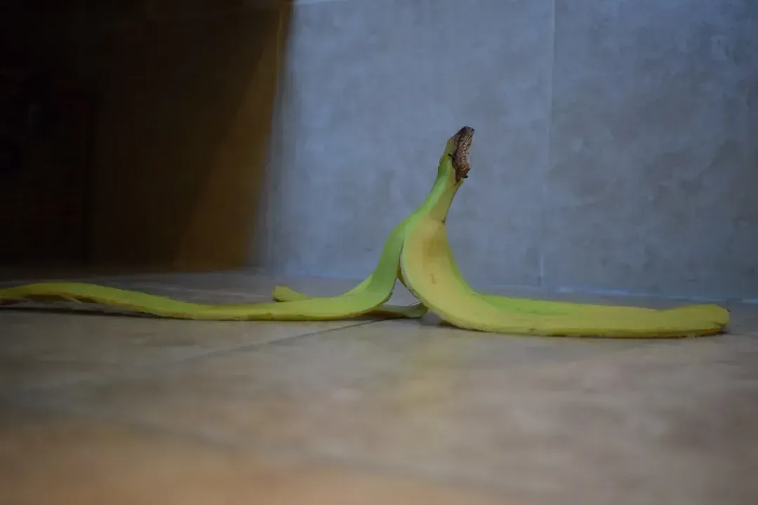 Banana Peels (Image Credits: Unsplash)