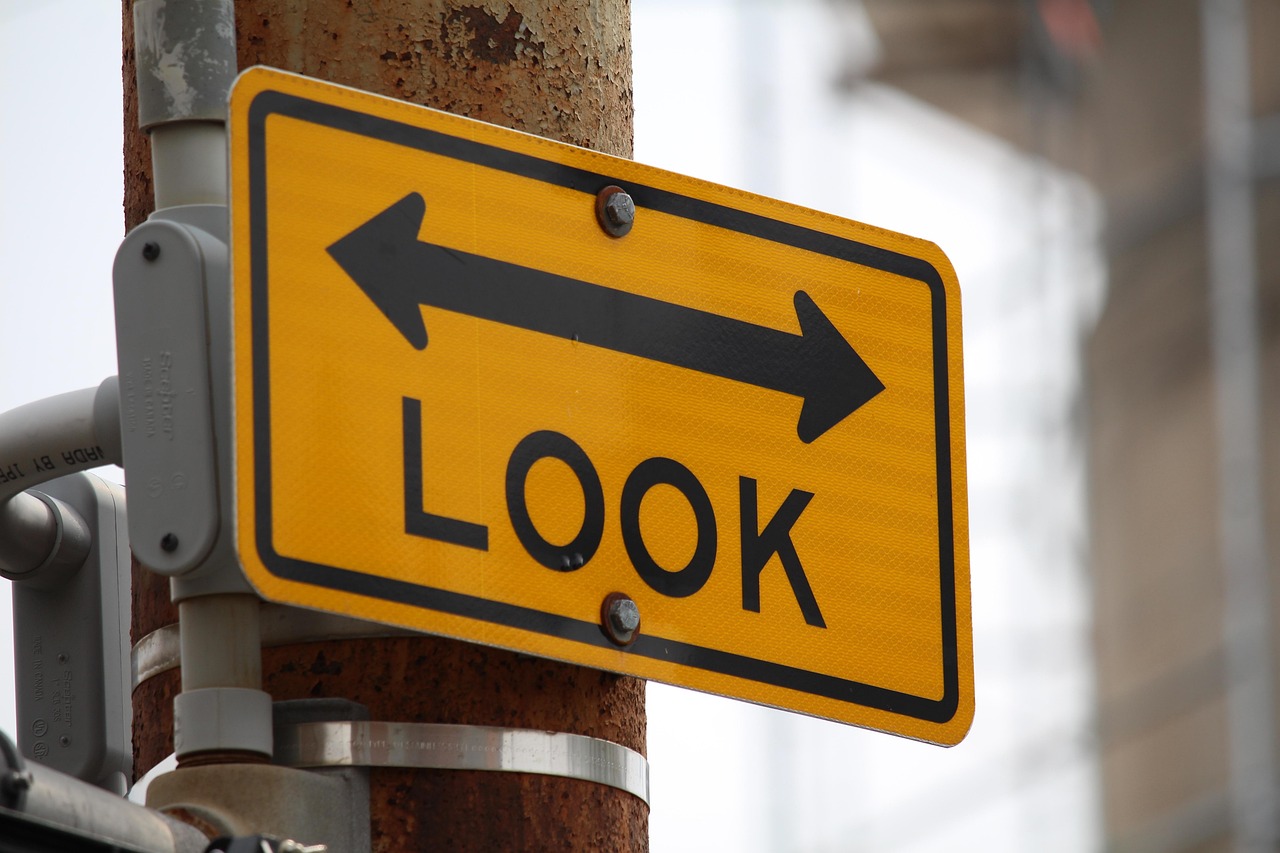 3. Advisory Purpose and Scope (image credits: pixabay)