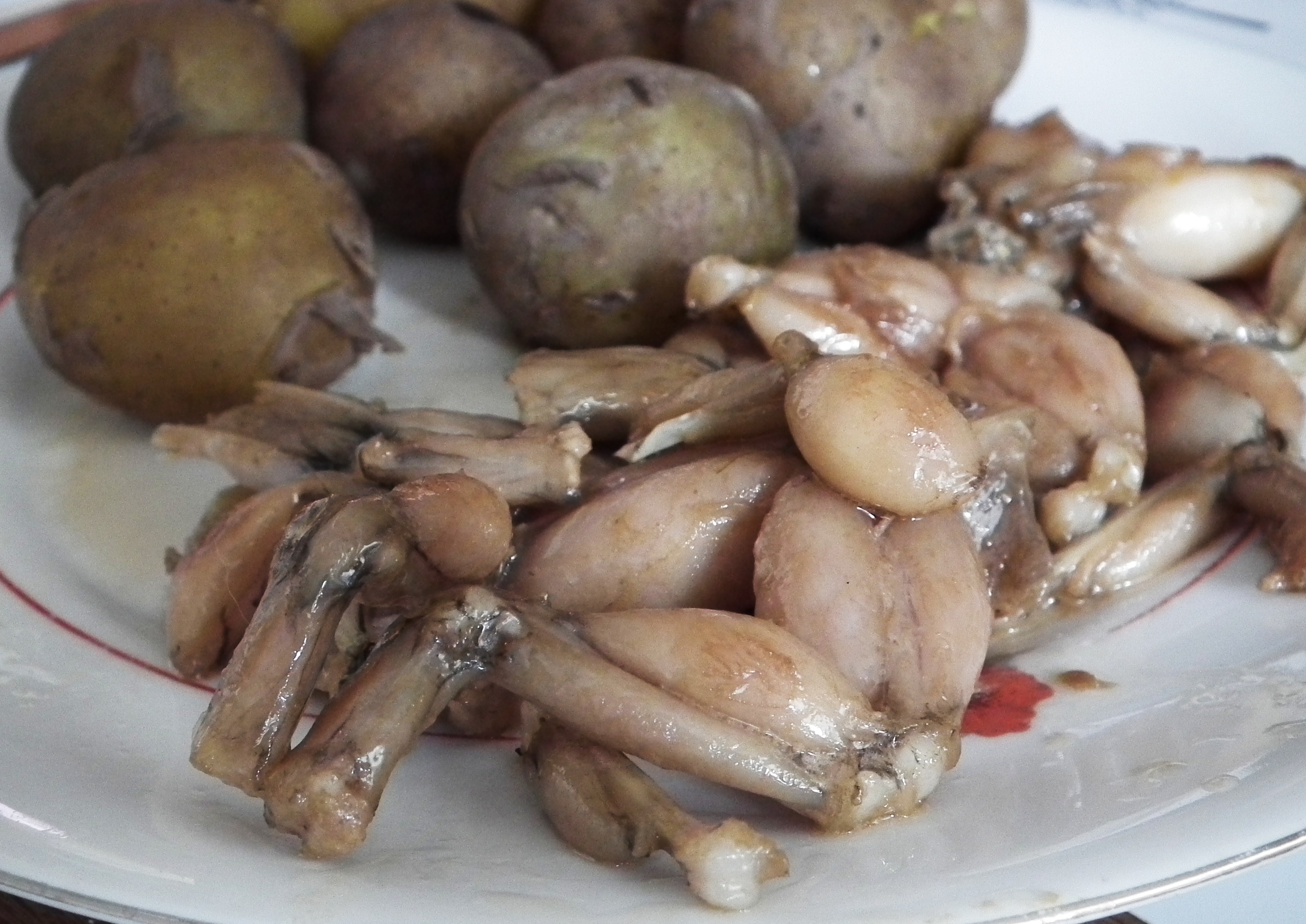 Frogs' Legs French Style (Image Credits: Wikimedia)