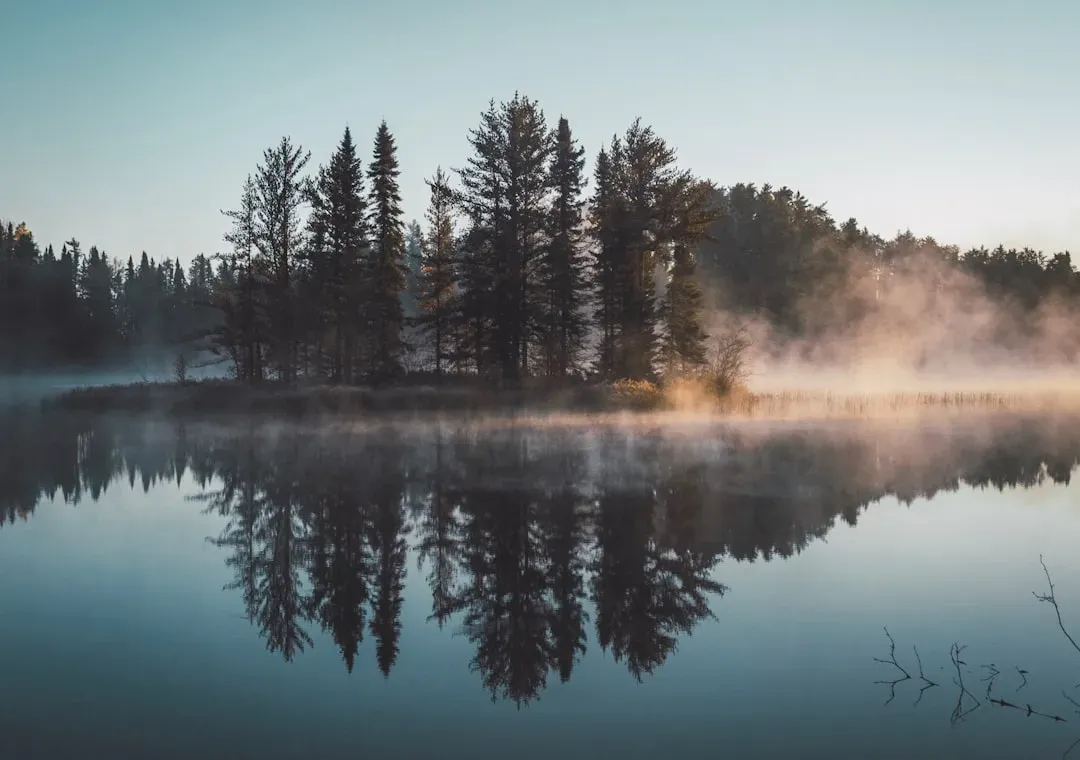 Start a short morning reflection (Image Credits: Unsplash)