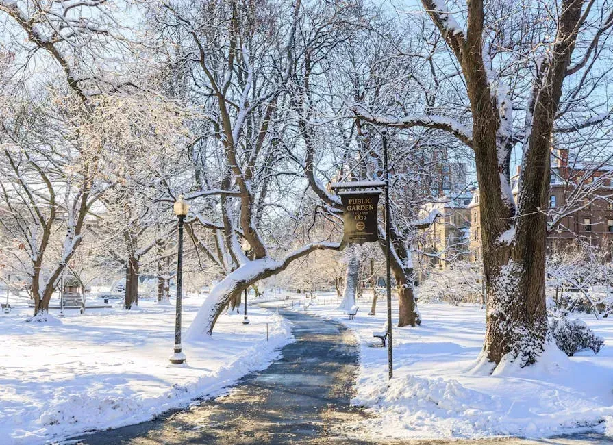 6. Boston, Massachusetts - Cold as the Weather (Image Credits: Pexels)