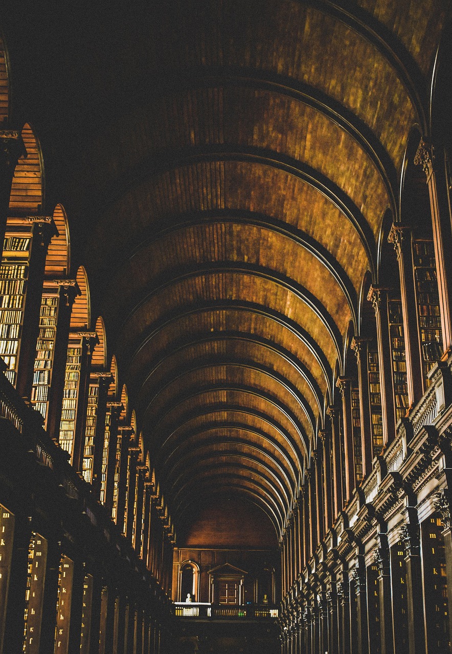 Trinity College Dublin Library: Ireland's Literary Cathedral (image credits: pixabay)