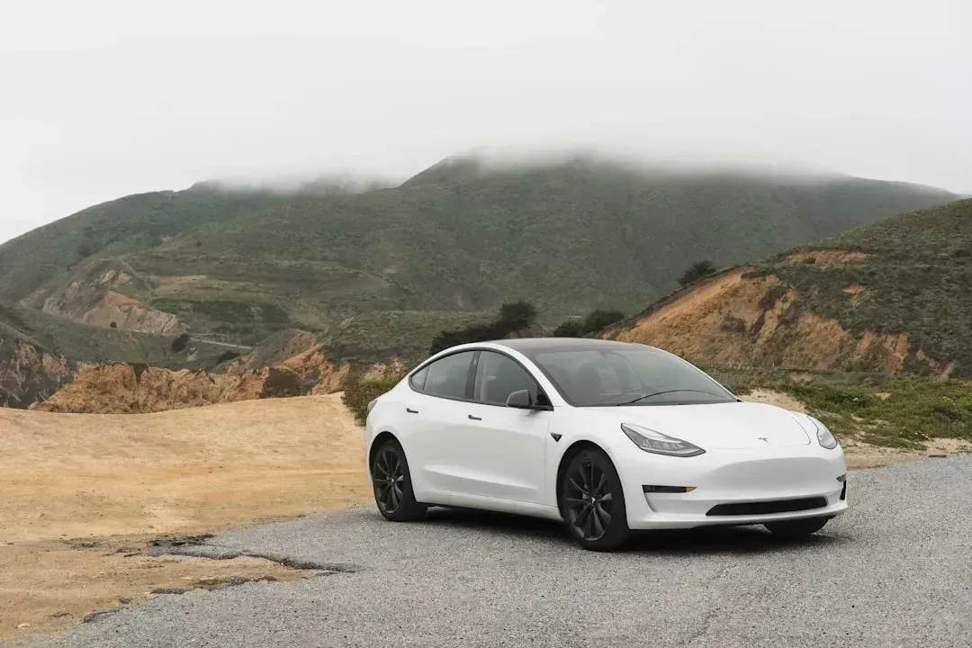 10. Tesla Model Y - Best Electric Vehicle (Image Credits: Unsplash)