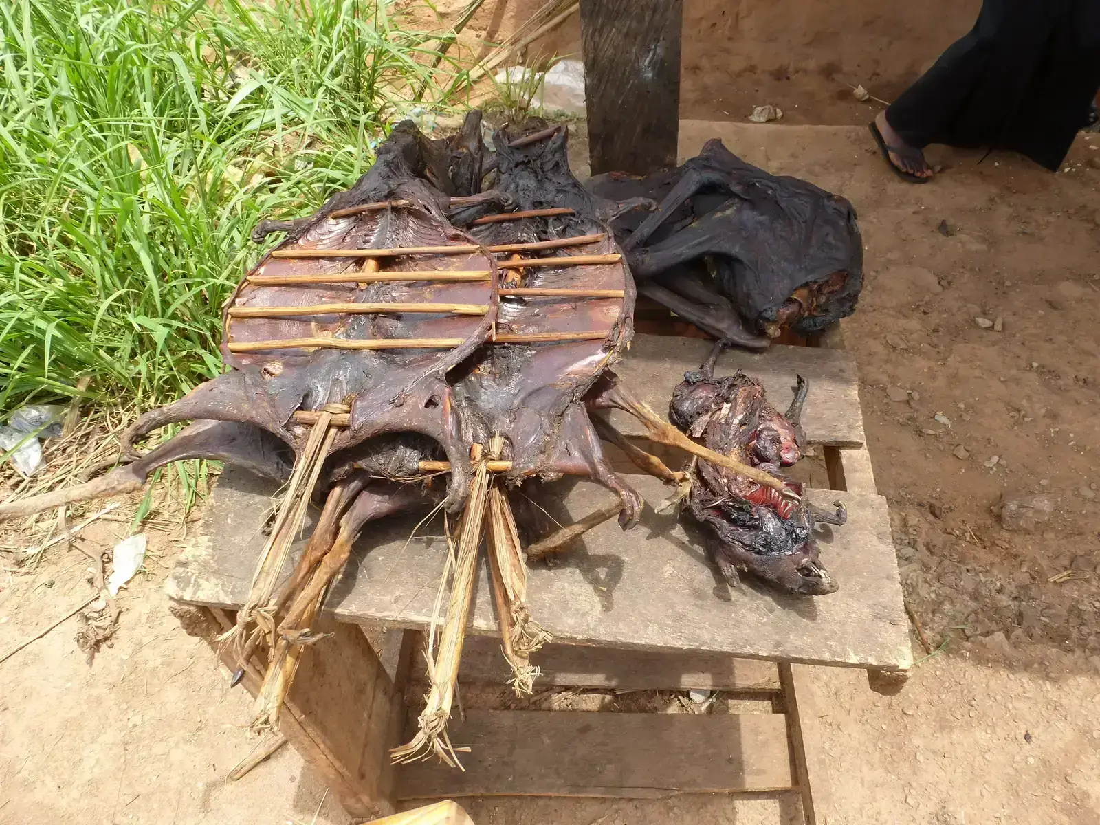 Bushmeat: The Wildlife Disease Vector (Image Credits: Wikimedia)