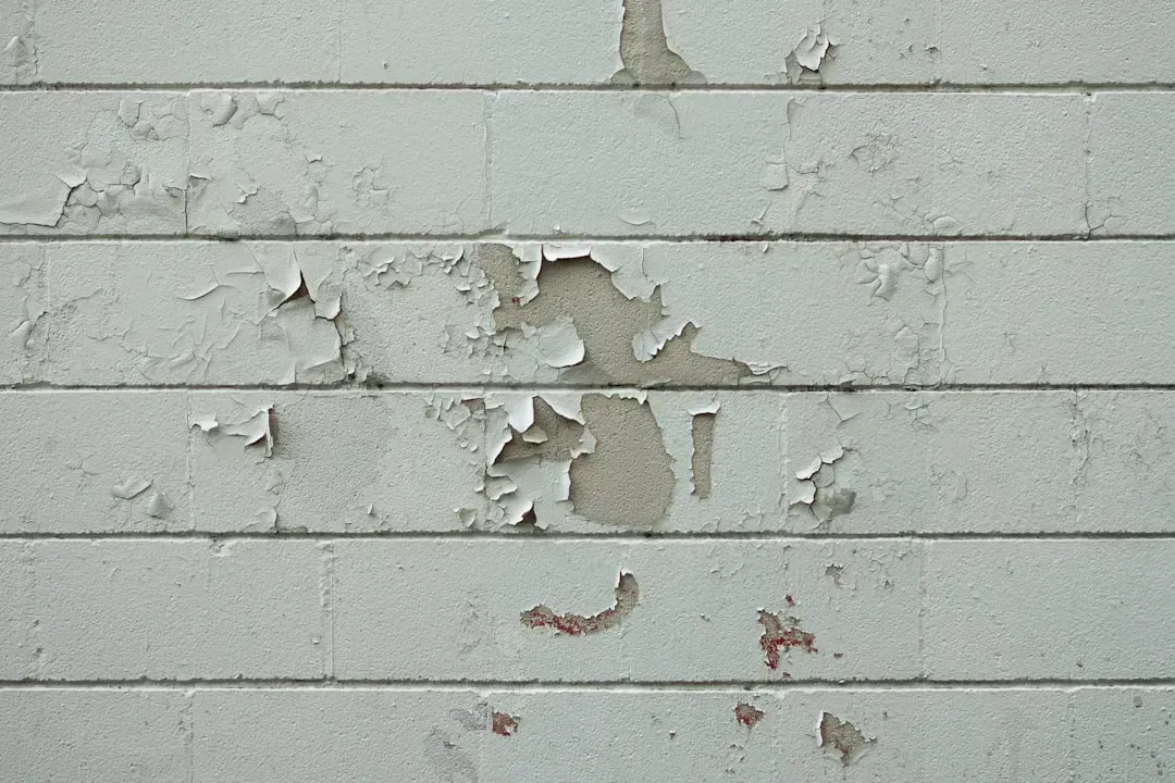 3. Living With Lead Paint on Every Wall (Image Credits: Unsplash)