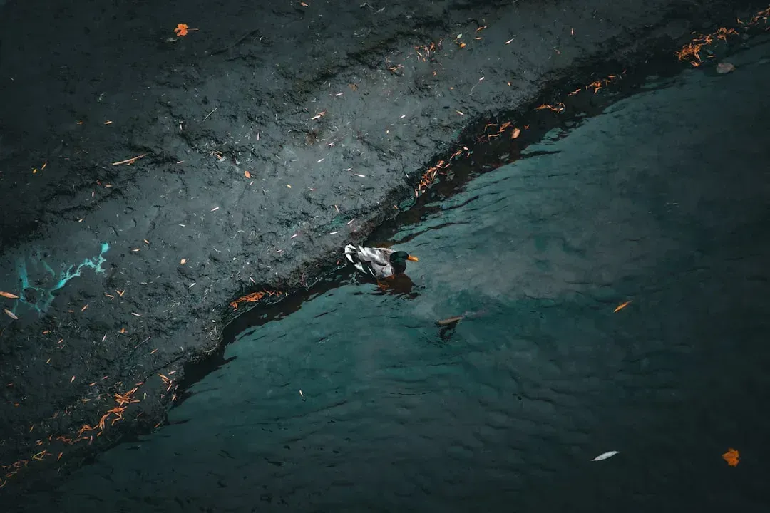 2. BP's Deepwater Horizon Oil Spill - $65 Billion and Counting (Image Credits: Unsplash)