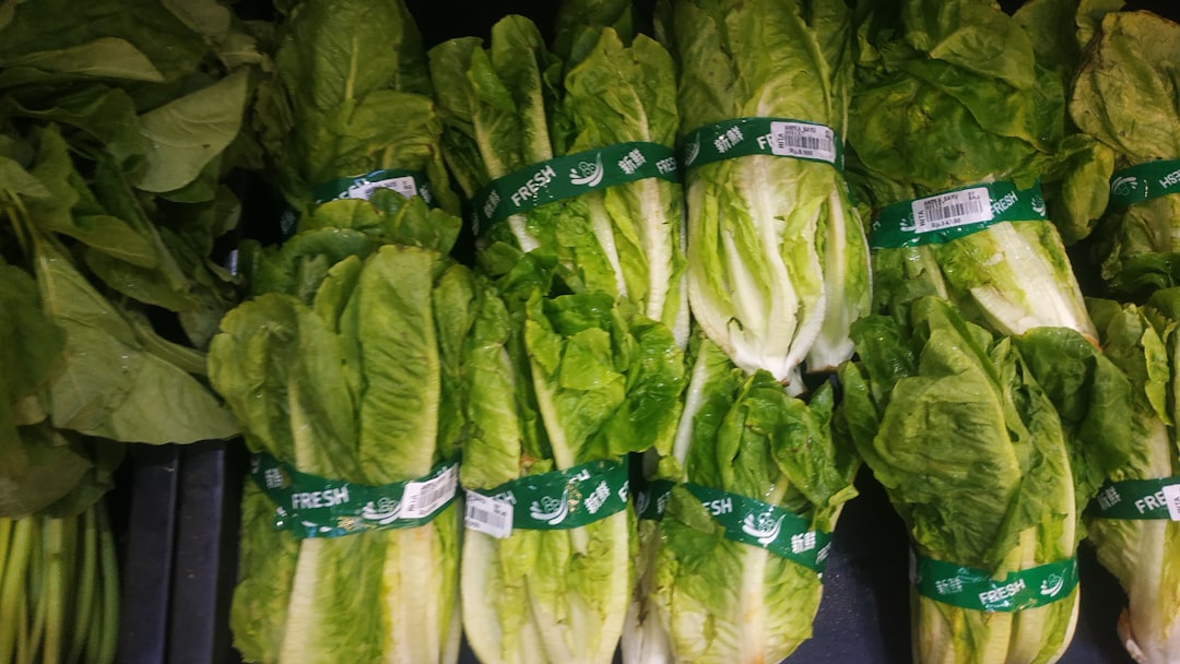 Pre-Cut Leafy Greens - Fresh Yet Fragile (Image Credits: Unsplash)