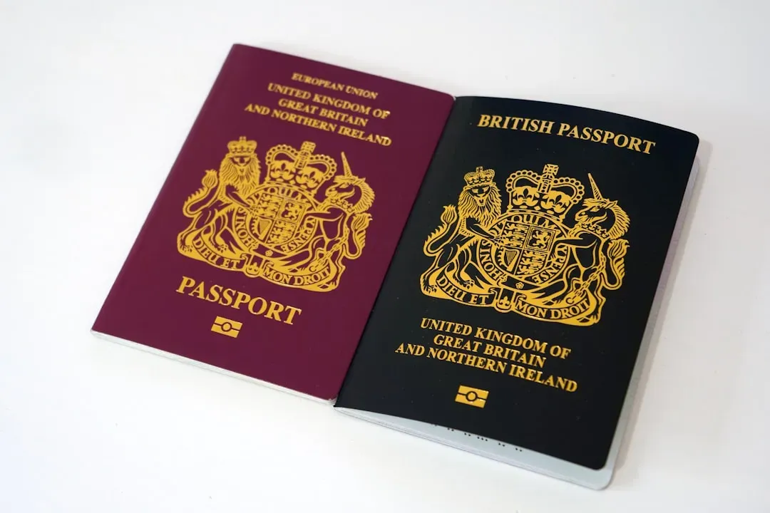 Dual Citizens Using the Wrong Passport (Image Credits: Unsplash)