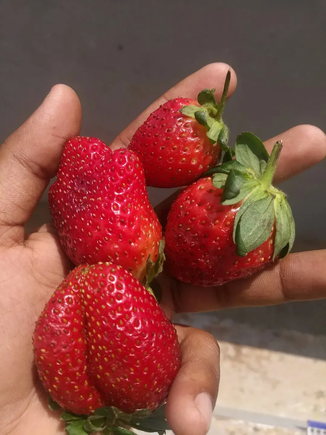 Europe Has Stricter Natural Flavor Standards Than America (Image Credits: Unsplash)