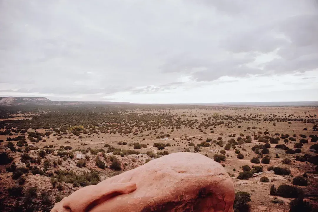 6. New Mexico: The Drought Blanketing the State (Image Credits: Unsplash)