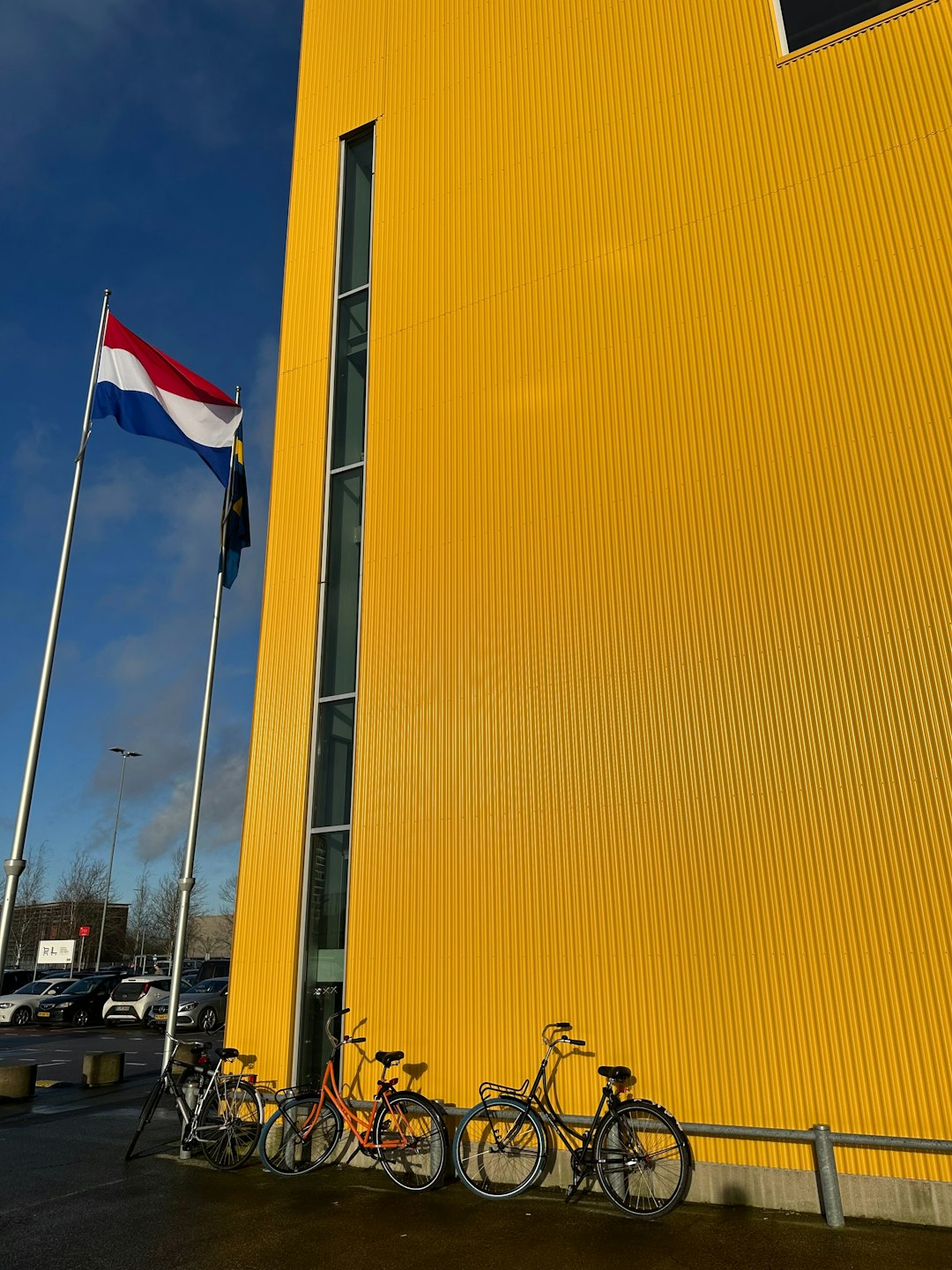 Netherlands' Targeted Migration Response (image credits: unsplash)