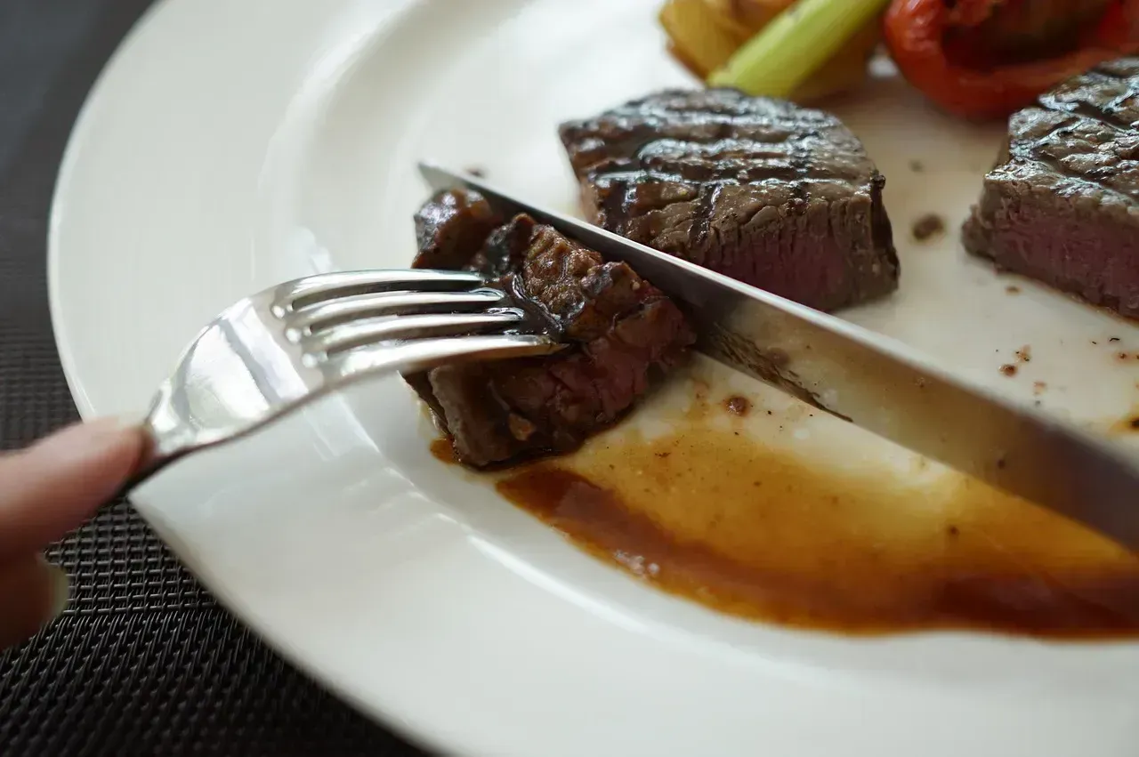 Salisbury Steak (Image Credits: Pixabay)