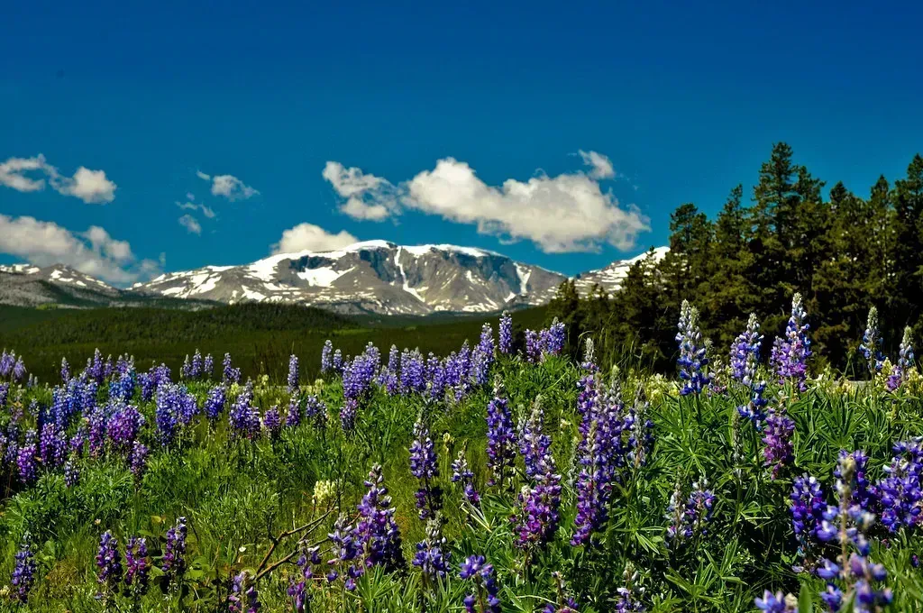 2. Wyoming (Image Credits: Flickr)