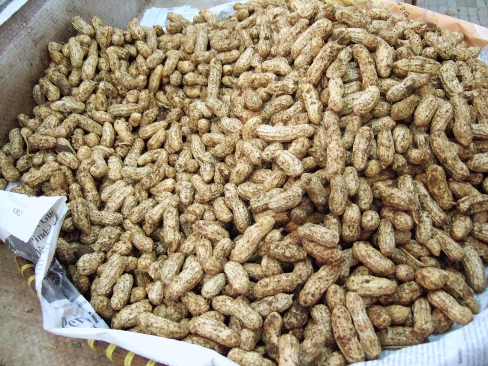 7. Peanuts (Image Credits: Wikimedia)