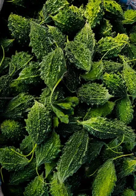 Bitterness: The Underrated Counterpoint (Image Credits: Pexels)