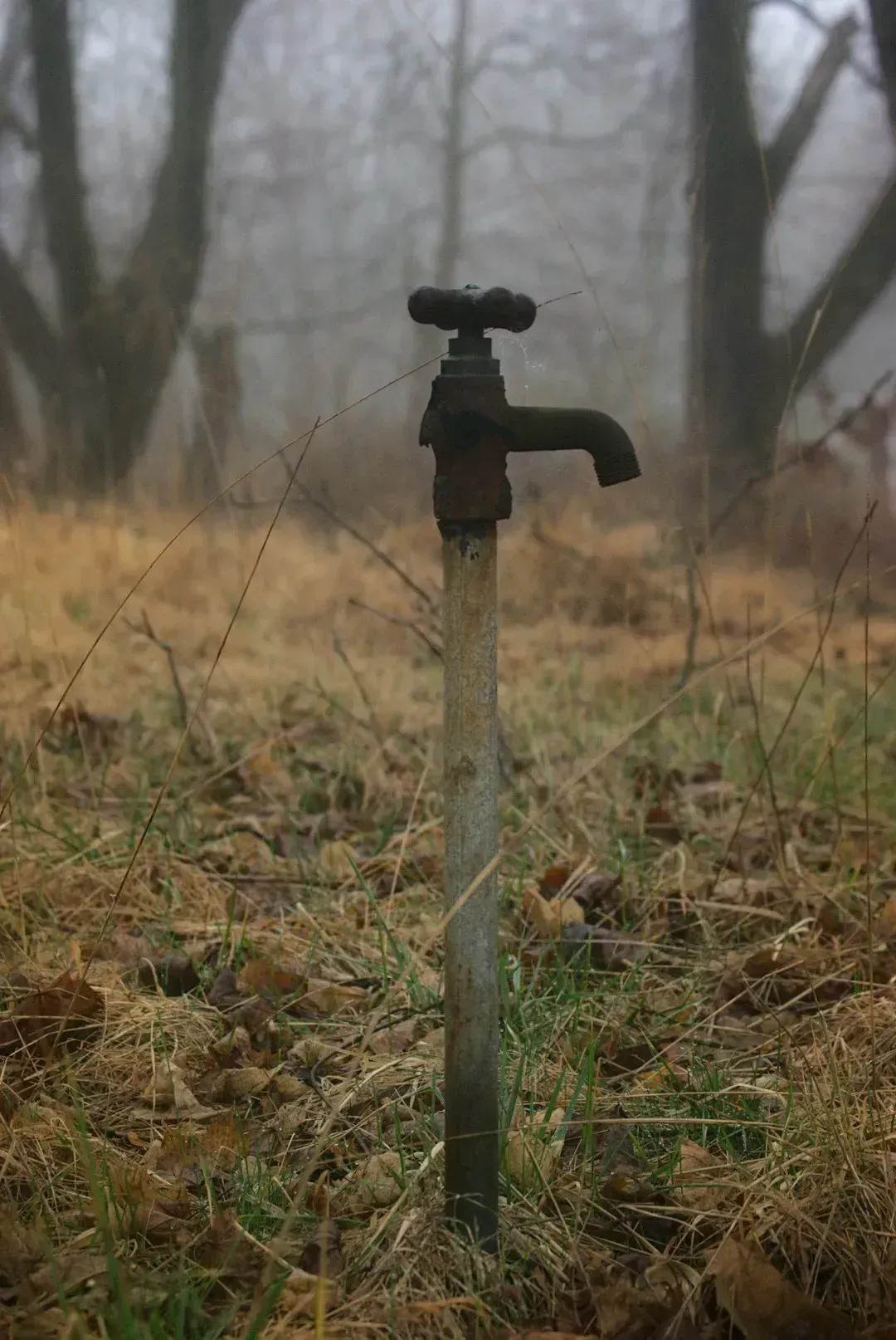 Arkansas: Overpumping Its Own Future Away (Image Credits: Unsplash)