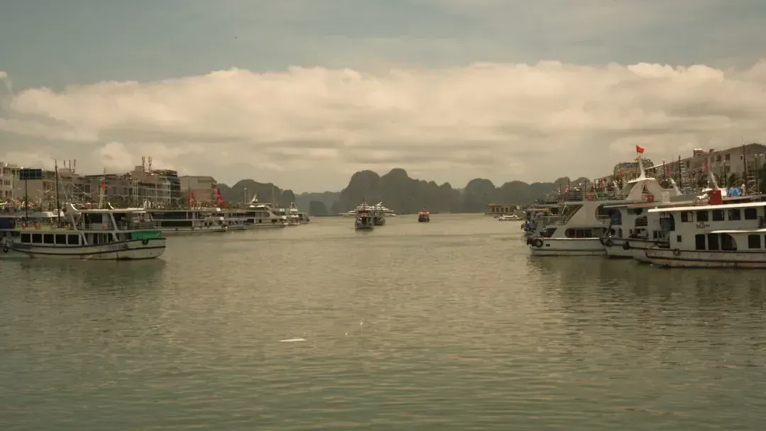 Ha Long Bay, Vietnam (Image Credits: Unsplash)