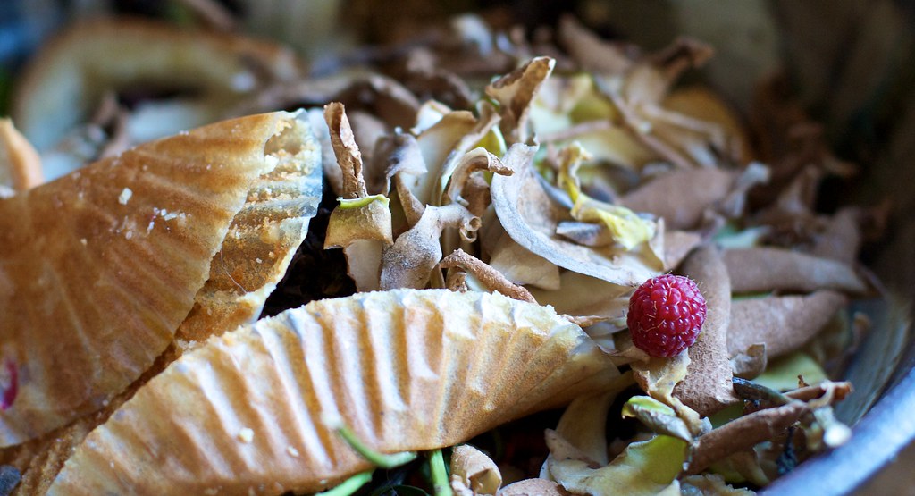 Climate Connection Makes Food Waste Urgent (Image Credits: Flickr)