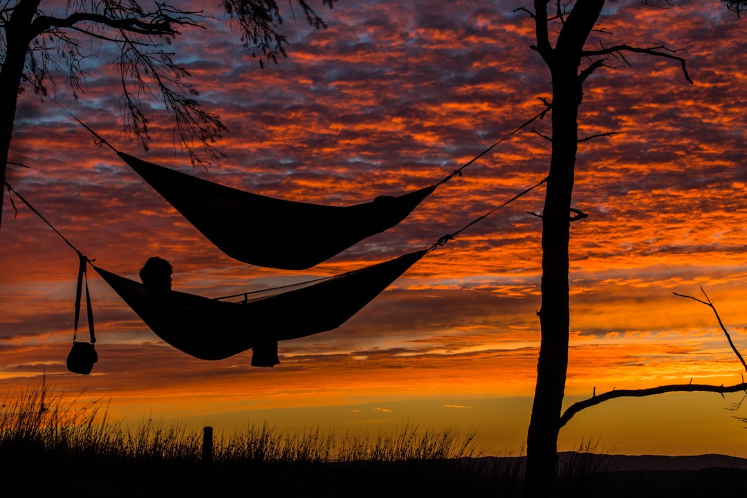 Breaking Free from Digital Overwhelm (image credits: unsplash)