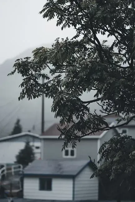 7. Planting Trees Too Close to the House or Property Lines (Image Credits: Pexels)