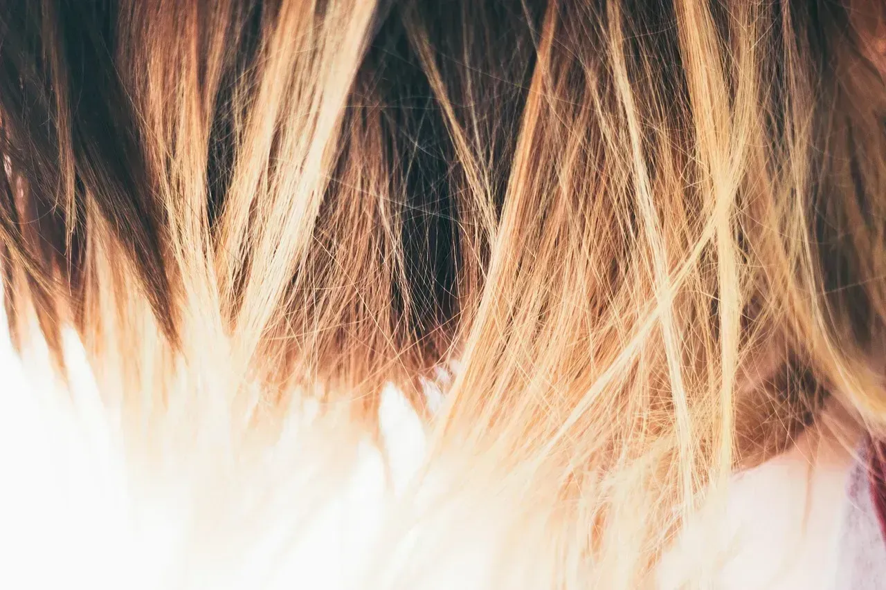 Layered Cuts for Instant Volume Boost (Image Credits: Pixabay)