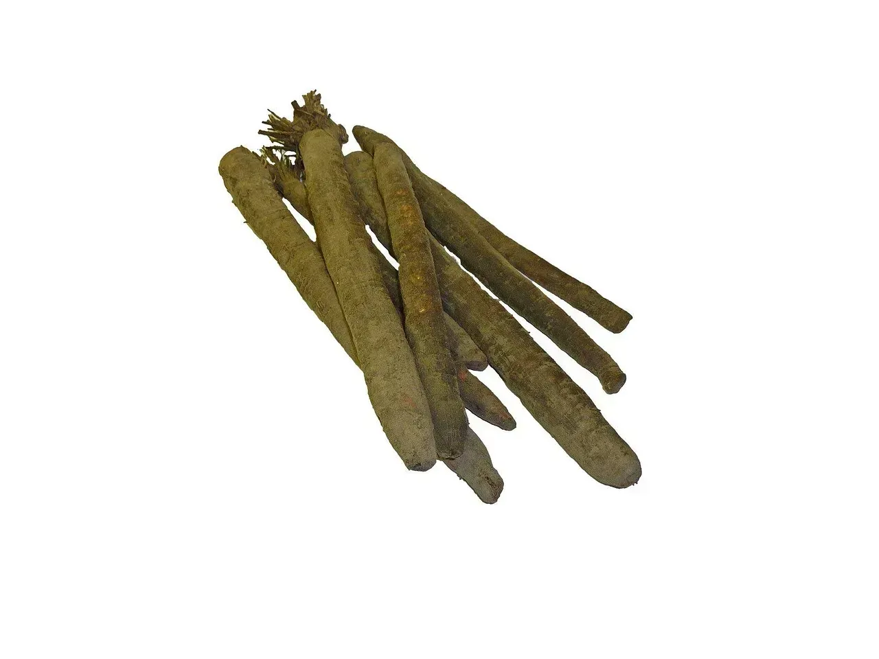 Salsify and Scorzonera: The Oyster Plant Twins (Image Credits: Pixabay)