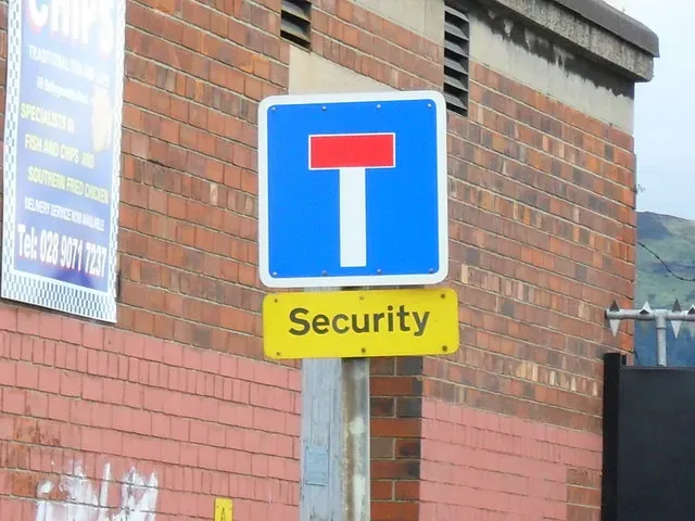 Overly Visible High-End Security Systems: Marking Yourself as a Target (Image Credits: Wikimedia)