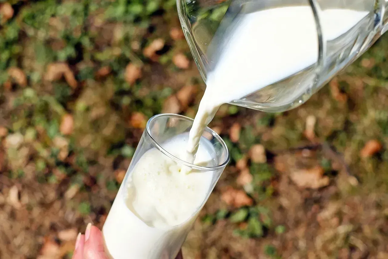 Milk From Cows Treated With Growth Hormones (Image Credits: Pixabay)