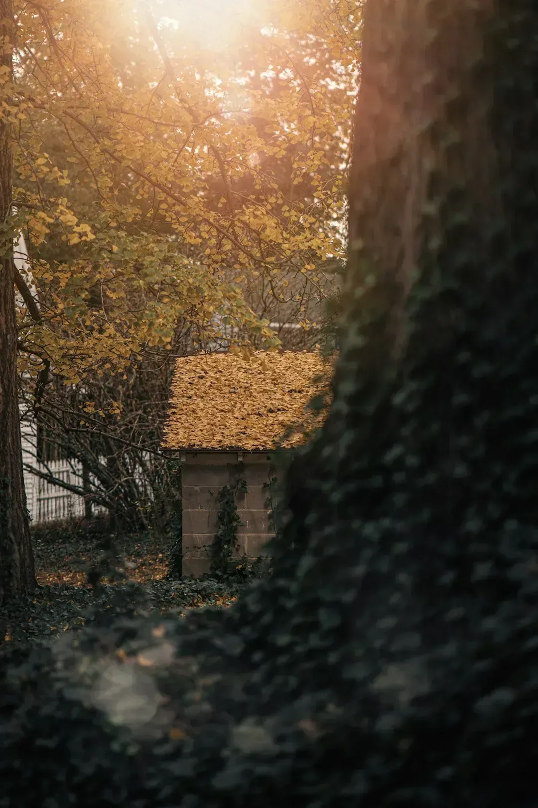 5. Installing a Shed Without Checking Local Zoning (Image Credits: Unsplash)