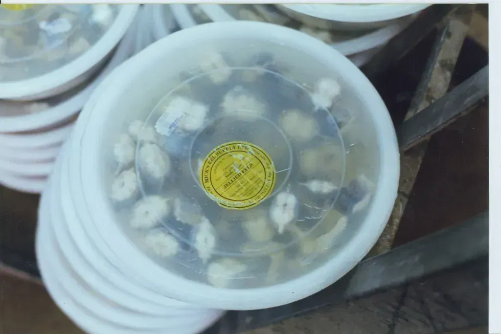 Jellied Eels (Image Credits: Flickr)