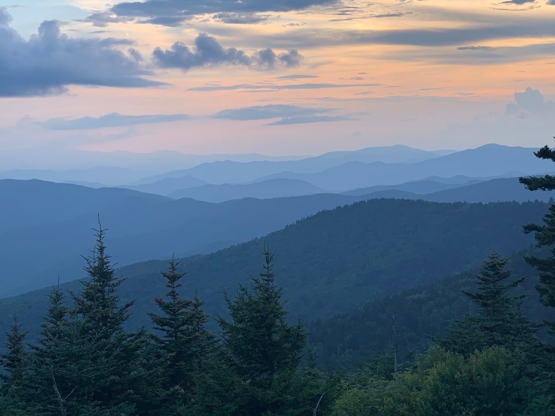 Great Smoky Mountains National Park, United States (Image Credits: Unsplash)